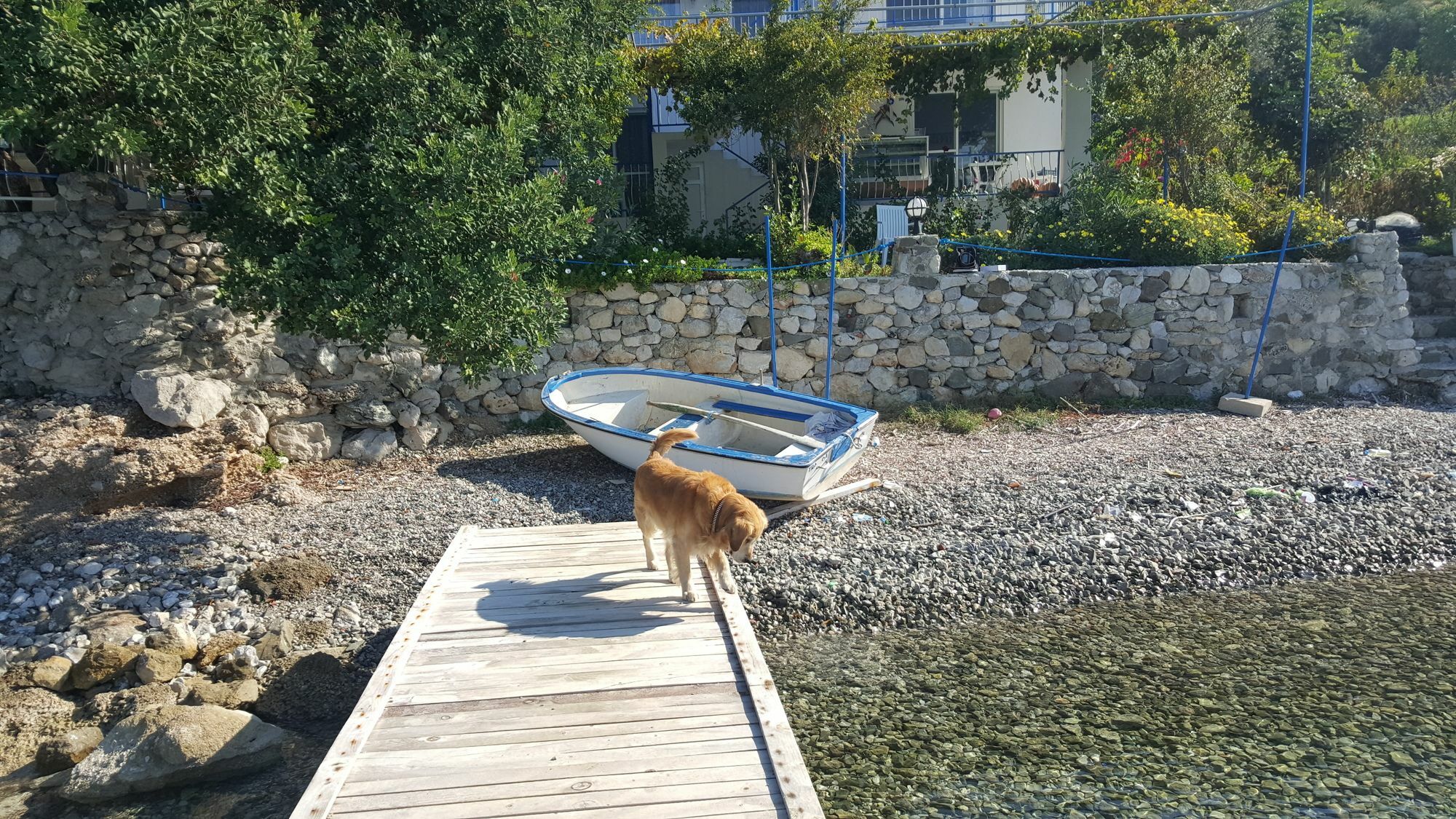 Mavi Akvaryum Otel 塞利米耶 外观 照片
